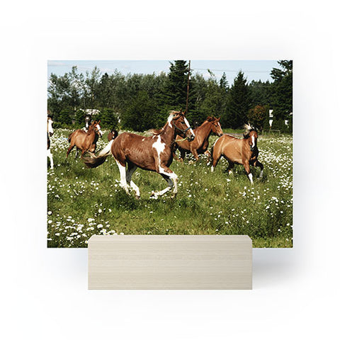 Kevin Russ Spring Horse Run Mini Art Print