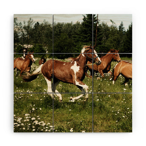 Kevin Russ Spring Horse Run Wood Wall Mural