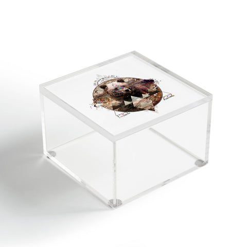 Kris Tate ANIMAL ECHOES Acrylic Box