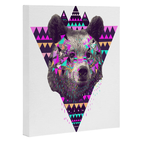Kris Tate Piniata Bear Art Canvas