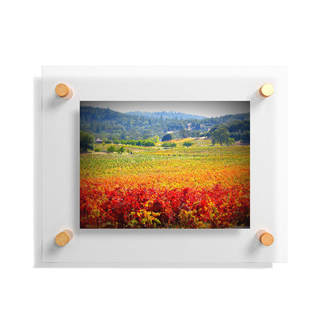 Krista Glavich Autumn Vineyard Floating Acrylic Print