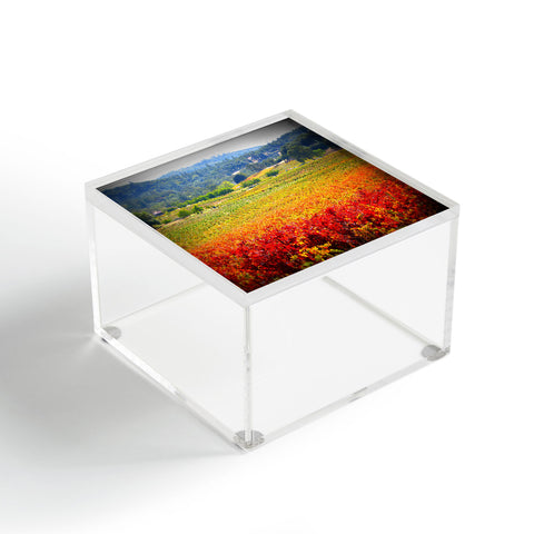 Krista Glavich Autumn Vineyard Acrylic Box