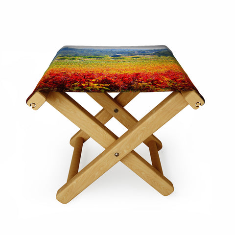 Krista Glavich Autumn Vineyard Folding Stool