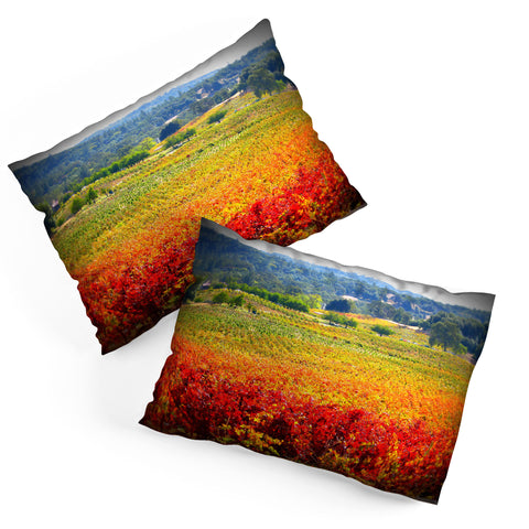 Krista Glavich Autumn Vineyard Pillow Shams