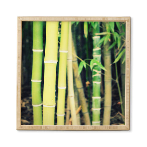 Krista Glavich Bamboo Framed Wall Art