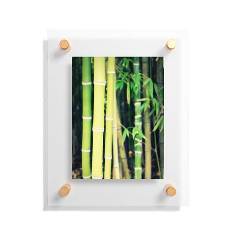 Krista Glavich Bamboo Floating Acrylic Print