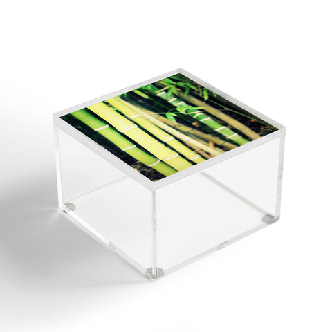 Krista Glavich Bamboo Acrylic Box