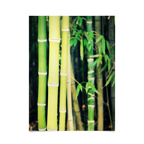 Krista Glavich Bamboo Poster