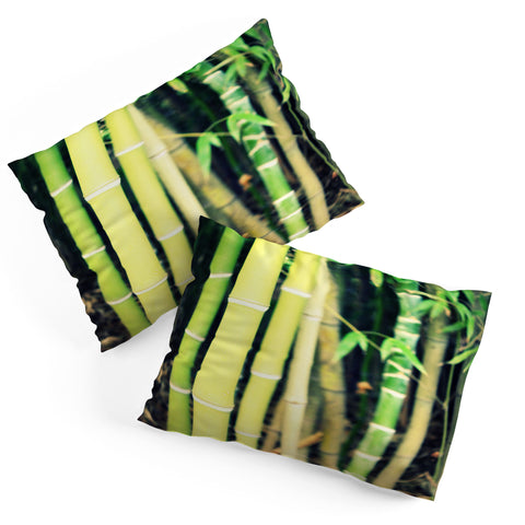 Krista Glavich Bamboo Pillow Shams