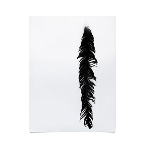 Krista Glavich Black Feather Poster