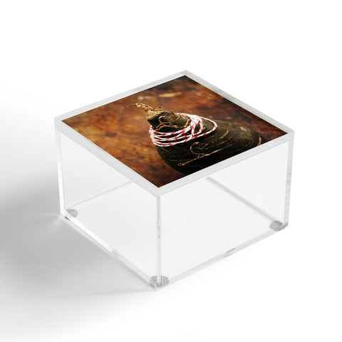 Krista Glavich Black Radish Acrylic Box