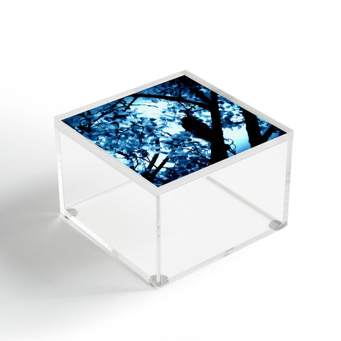Krista Glavich Blackbird Acrylic Box