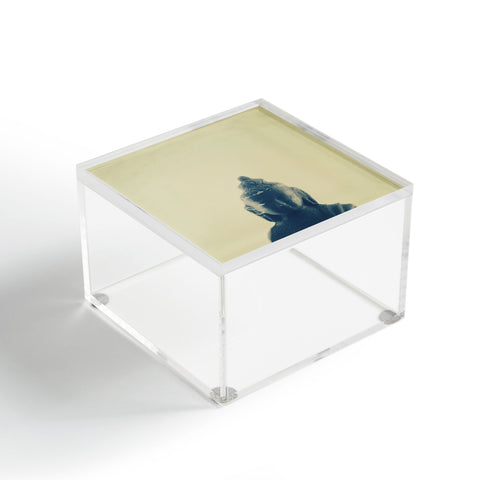 Krista Glavich Blue Buddha Acrylic Box