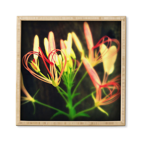 Krista Glavich Cleome Heart Framed Wall Art