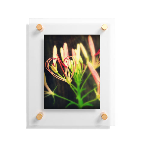 Krista Glavich Cleome Heart Floating Acrylic Print