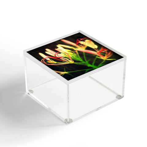 Krista Glavich Cleome Heart Acrylic Box