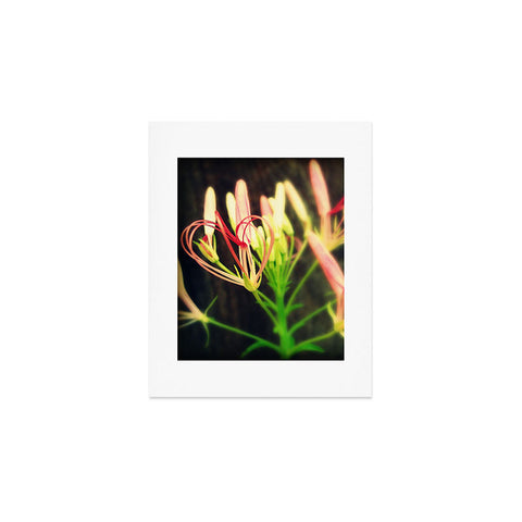 Krista Glavich Cleome Heart Art Print