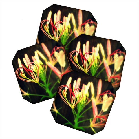 Krista Glavich Cleome Heart Coaster Set