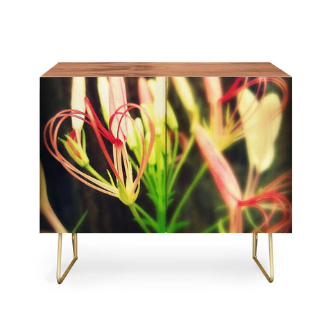 Krista Glavich Cleome Heart Credenza