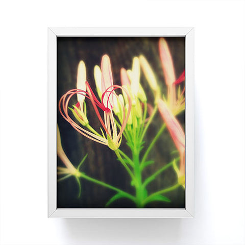 Krista Glavich Cleome Heart Framed Mini Art Print