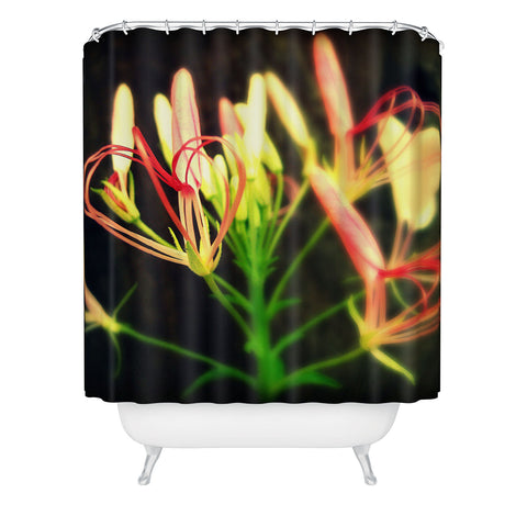 Krista Glavich Cleome Heart Shower Curtain