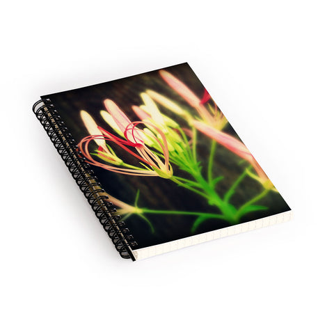 Krista Glavich Cleome Heart Spiral Notebook
