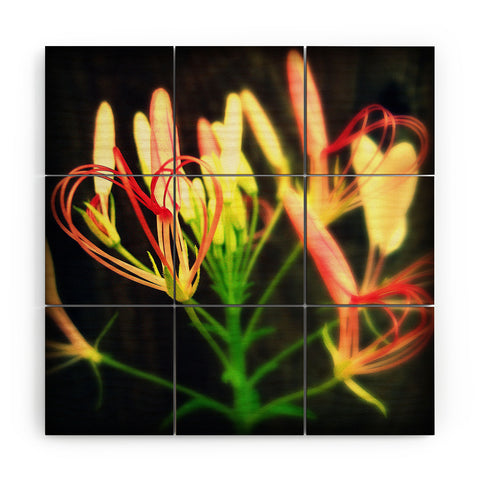Krista Glavich Cleome Heart Wood Wall Mural