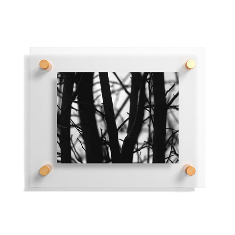 Krista Glavich Deep Dark Woods Floating Acrylic Print