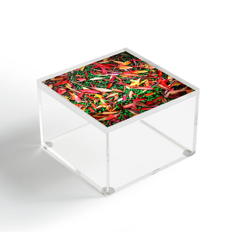 Krista Glavich Fall Pattern Acrylic Box