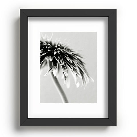 Krista Glavich Gerbera Daisy 1 Recessed Framing Rectangle