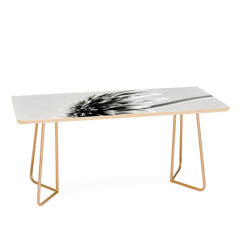 Krista Glavich Gerbera Daisy 1 Coffee Table