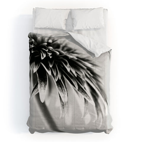Krista Glavich Gerbera Daisy 1 Comforter
