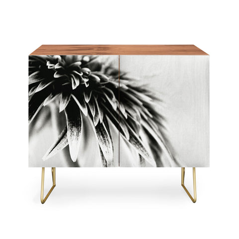 Krista Glavich Gerbera Daisy 1 Credenza