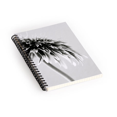 Krista Glavich Gerbera Daisy 1 Spiral Notebook