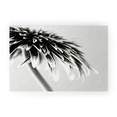 Krista Glavich Gerbera Daisy 1 Welcome Mat