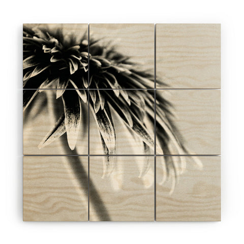 Krista Glavich Gerbera Daisy 1 Wood Wall Mural