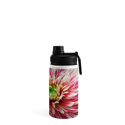 Krista Glavich Gerbera Daisy 2 Water Bottle