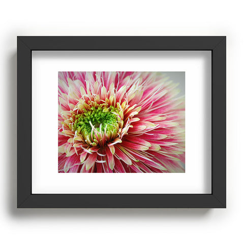 Krista Glavich Gerbera Daisy 2 Recessed Framing Rectangle