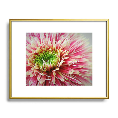 Krista Glavich Gerbera Daisy 2 Metal Framed Art Print