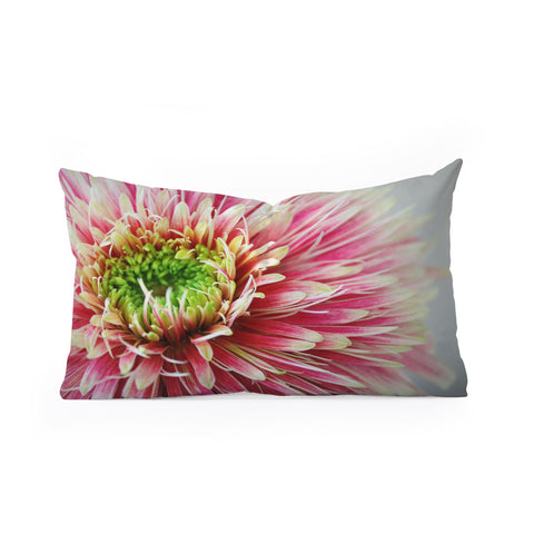 Krista Glavich Gerbera Daisy 2 Oblong Throw Pillow