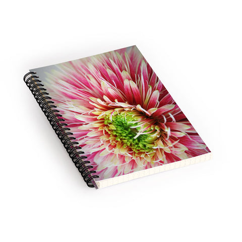 Krista Glavich Gerbera Daisy 2 Spiral Notebook