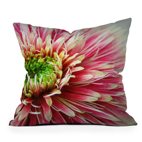 Krista Glavich Gerbera Daisy 2 Throw Pillow