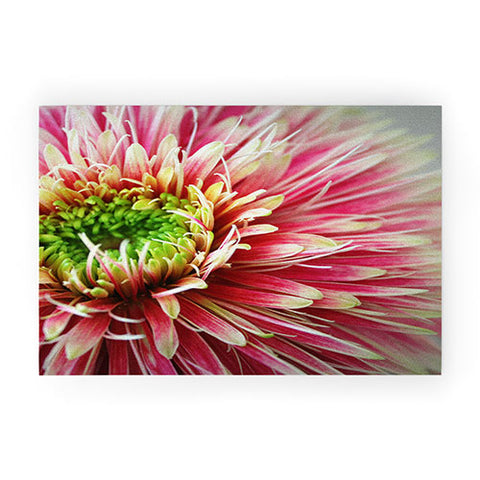 Krista Glavich Gerbera Daisy 2 Welcome Mat