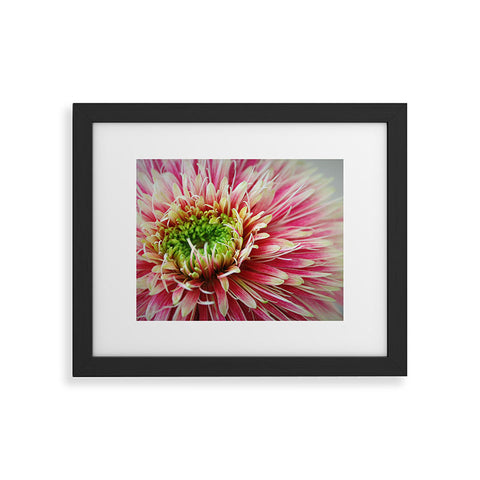 Krista Glavich Gerbera Daisy 2 Framed Art Print