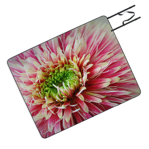 Krista Glavich Gerbera Daisy 2 Picnic Blanket