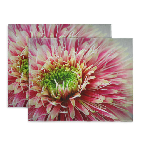 Krista Glavich Gerbera Daisy 2 Placemat