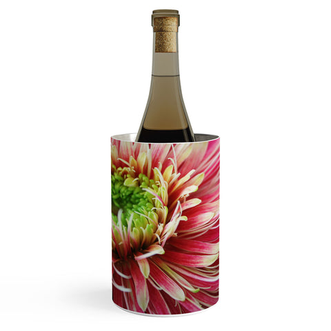 Krista Glavich Gerbera Daisy 2 Wine Chiller
