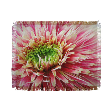 Krista Glavich Gerbera Daisy 2 Throw Blanket