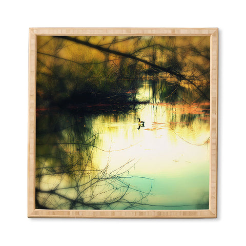 Krista Glavich Goose Framed Wall Art