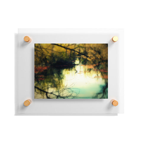 Krista Glavich Goose Floating Acrylic Print